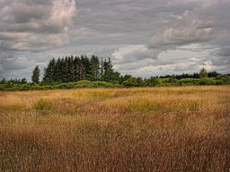 IMGP6142-1_Borris Soenderland